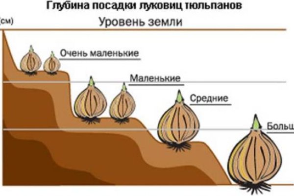 Рабочее зеркало кракен