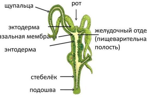 Kraken официальная ссылка tor