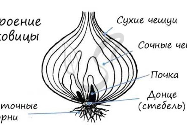 Кракен вход на сайт